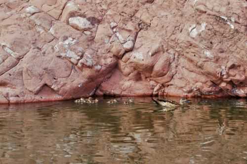 TREKKING NEL DESERTO DI ATACAMA 2015